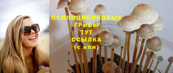 мяу мяу мука Алексеевка