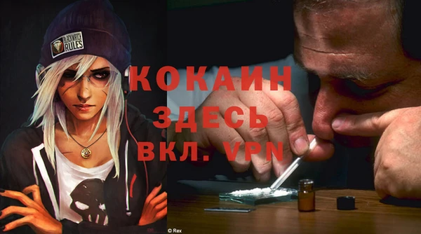 дмт Алексин