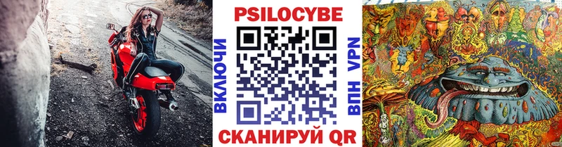 Псилоцибиновые грибы Cubensis  Грязовец 